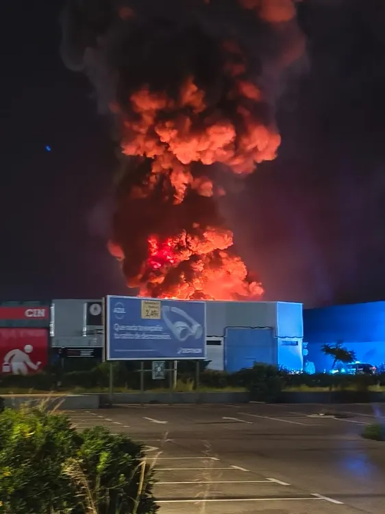 WhatsApp Image 2025-11-11 at 06.59.04