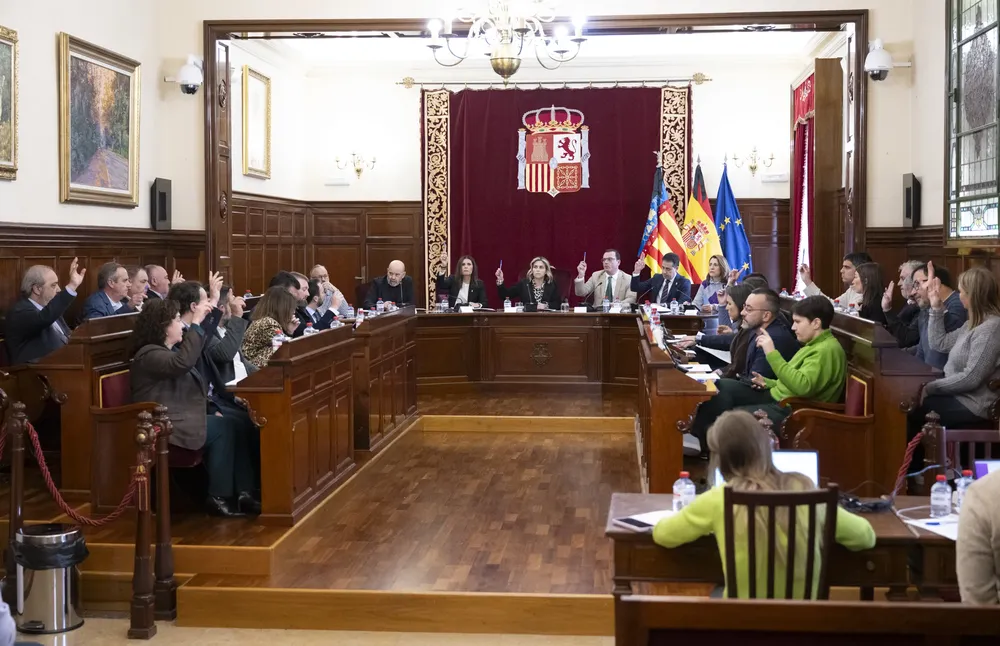 pleno ordinario enero (1)