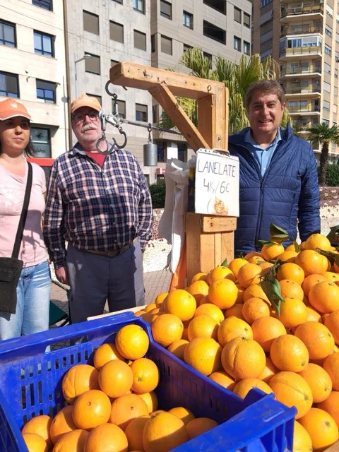 MERCAT 1 en tamaño mediano