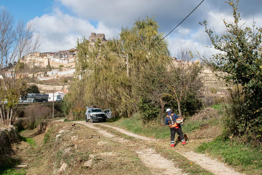 2025-11-21 Neteja forestal barranc Hostal Nou-6