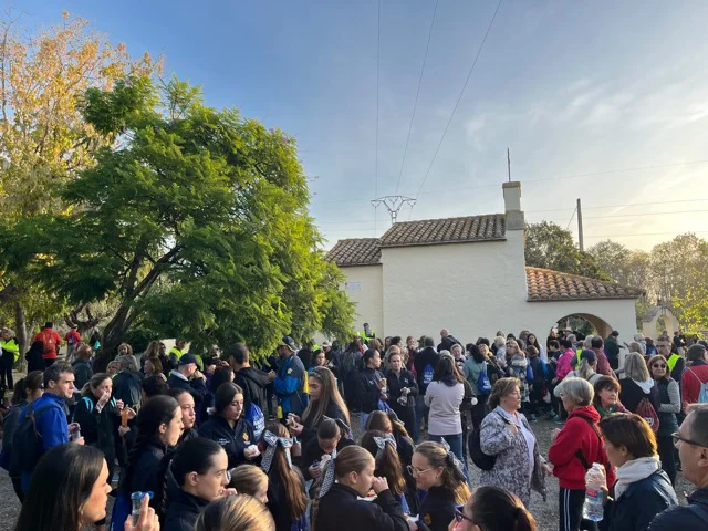 ermitas 4 en tamaño mediano