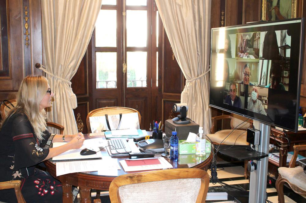 09-11-20 Amparo Marco reunión Red de Municipios por la Igualdad de Género de la Red Iberoamericana Rimig (1)