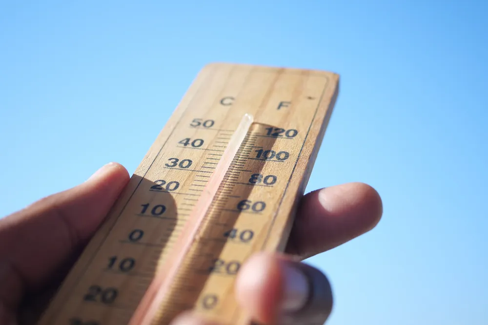 termómetro calor