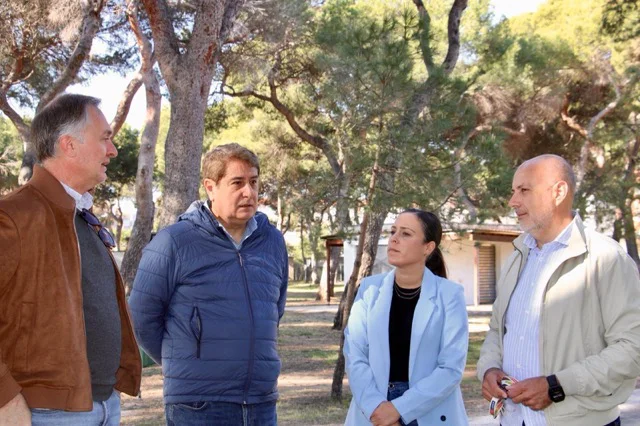 Gonzalo Romero plantación Pinar en tamaño mediano