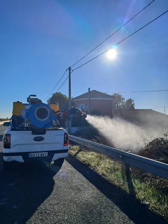 mosquitos marjaleria