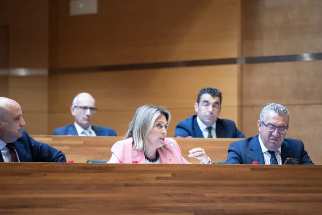 FEMP - Comisión Diputaciones, Cabildos, Consells Insulars 