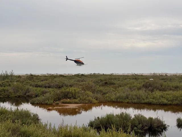 Tratamientos aéreos mosquitos (2) en tamaño mediano