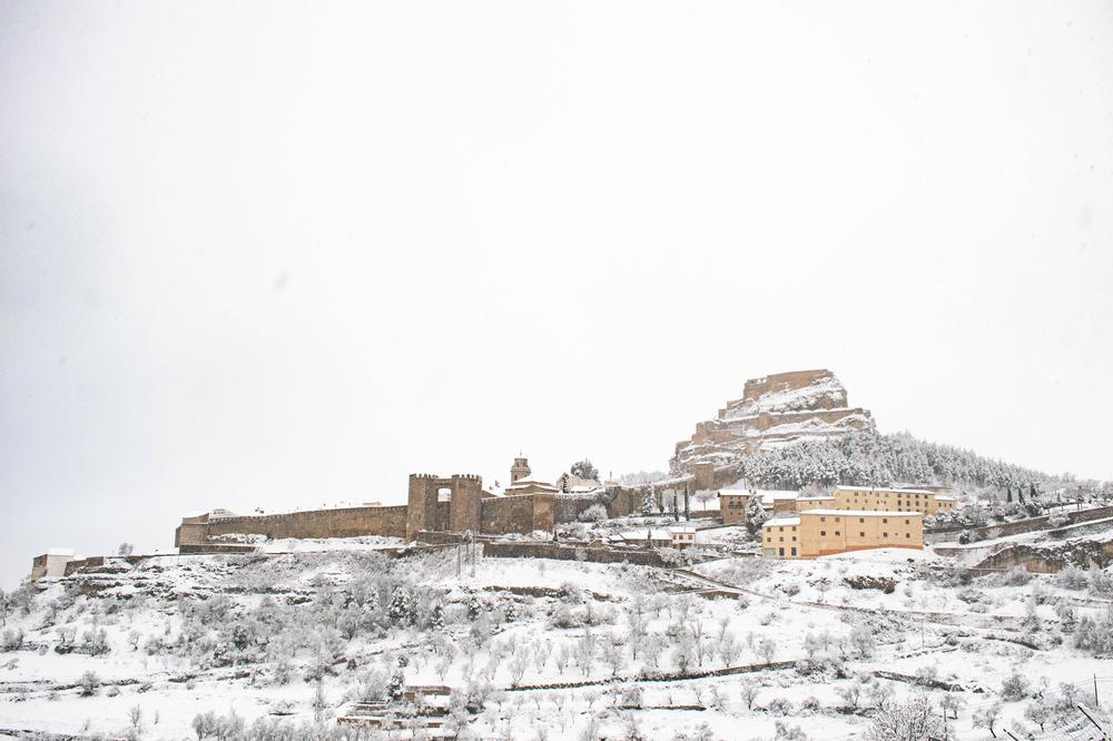 2023-02-08 Neu a Morella-13