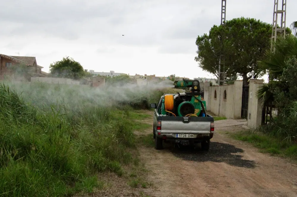FUMIGACION (3)