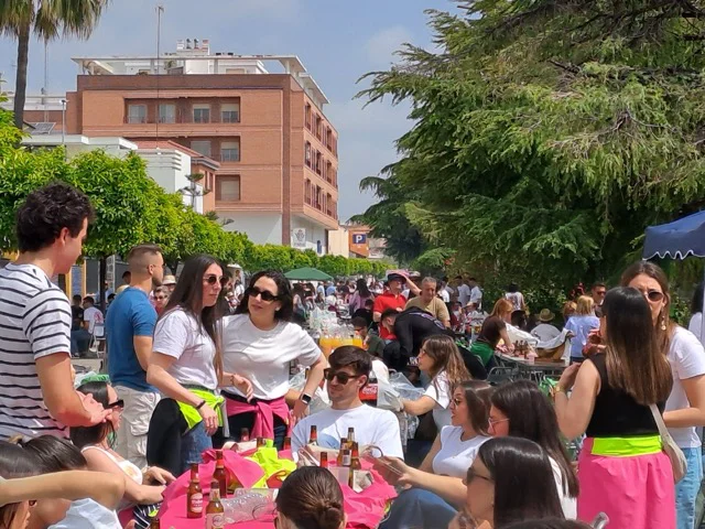paellas nules 3 en tamaño mediano
