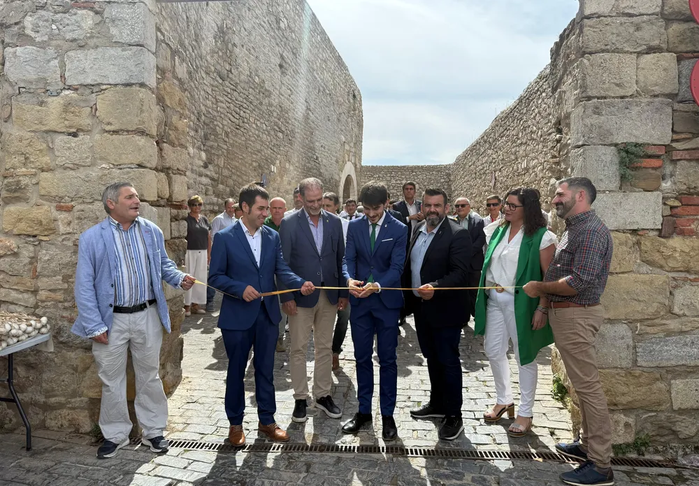 787a Fira de Morella 1