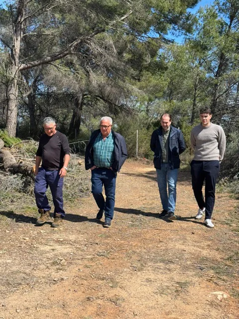 Foto ndp limpieza forestal 2026 en tamaño mediano