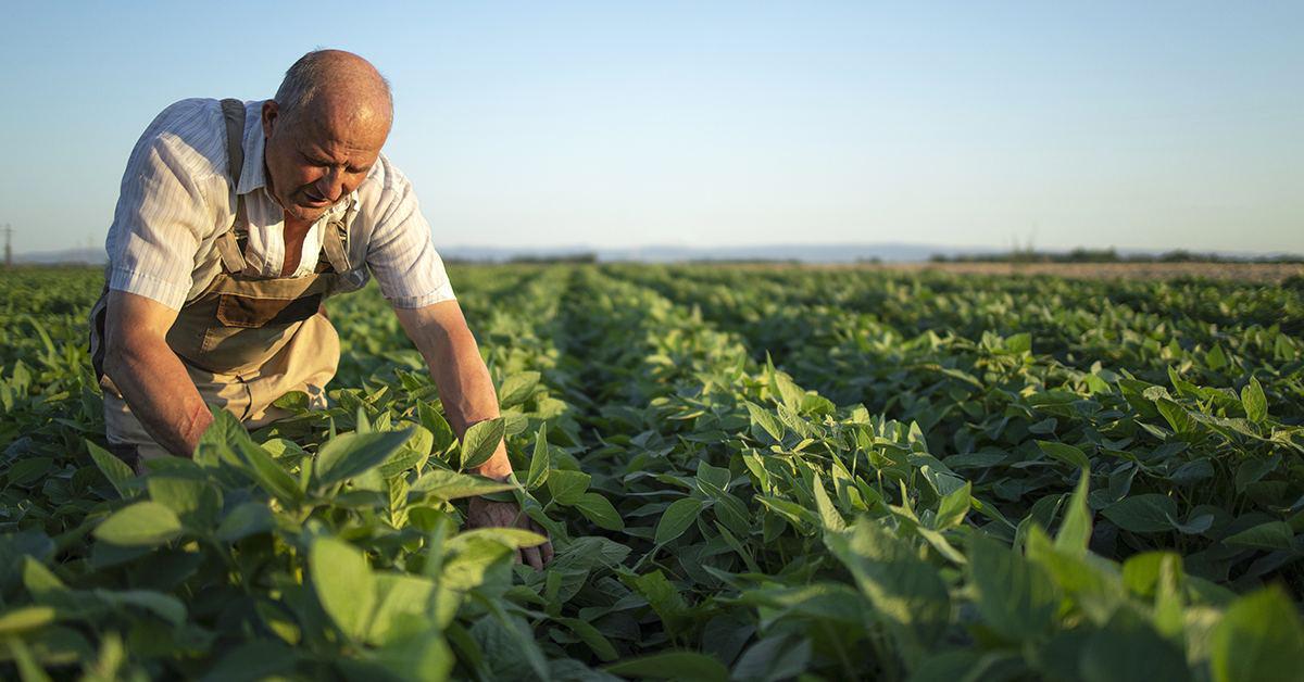 agricultura_sostenible