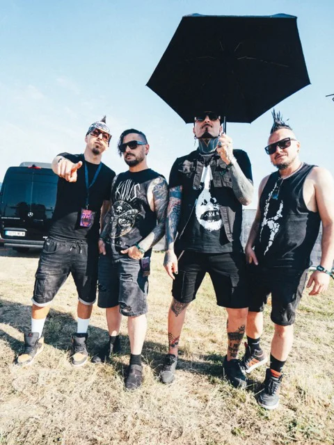 Killus en tamaño mediano