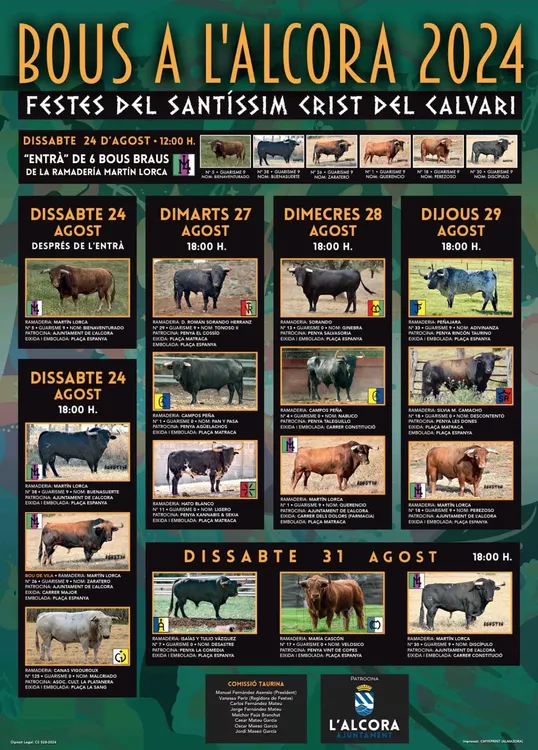 205b7b77-22af-426d-9569-25db89905891