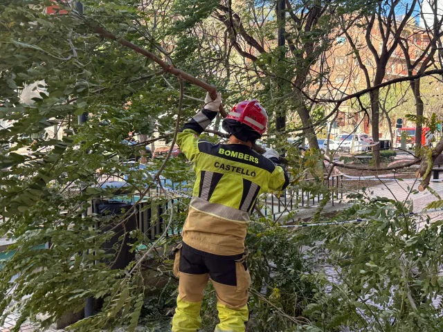 Actuaaciones Bomberos Policia Local  29 marzo  (1) en tamaño mediano