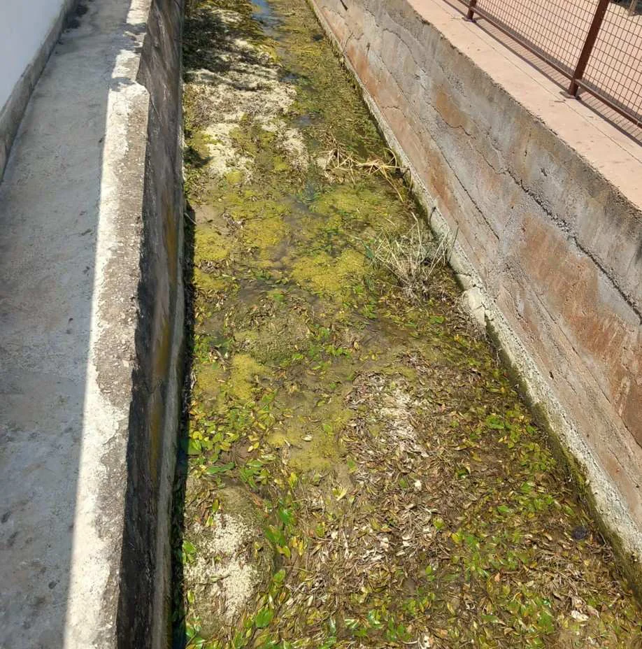 abandono acequia cami la ratlla