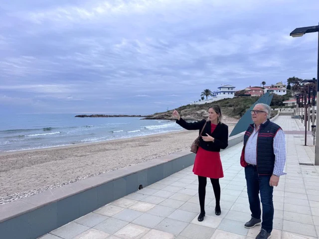 Oropesa morro de gos en tamaño mediano