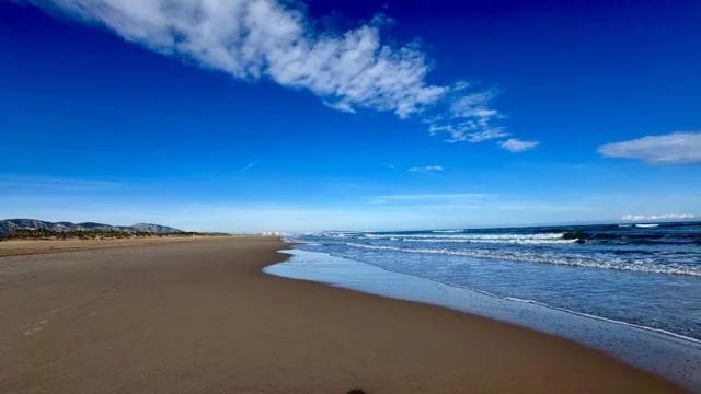 COSTAS en tamaño mediano