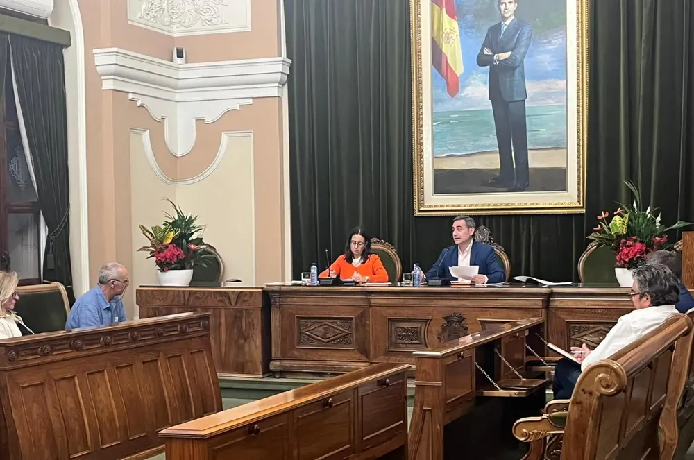 consejo local de seguridad