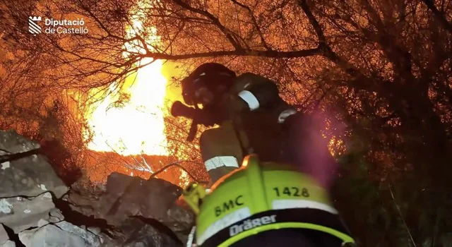 SONEJA NOCHE 1-8 en tamaño mediano