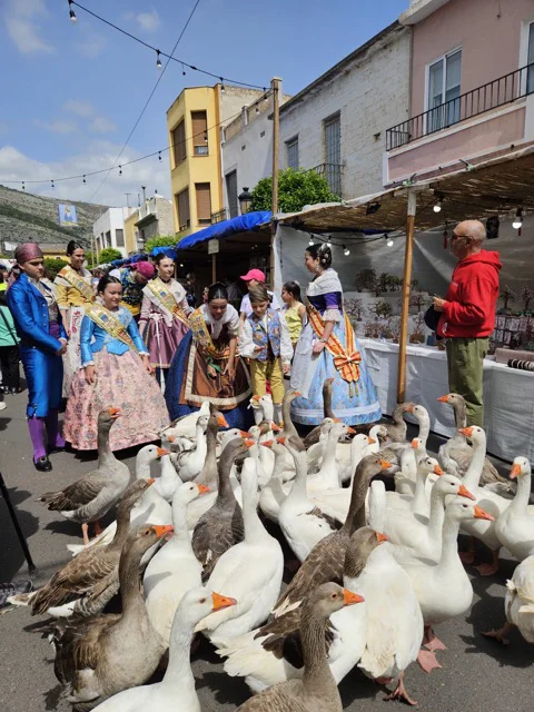 Foto Trobà 2025 en tamaño mediano