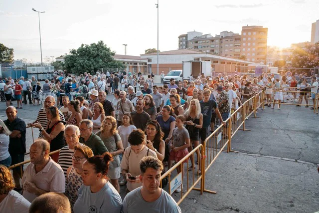 torra sardina 2 en tamaño mediano