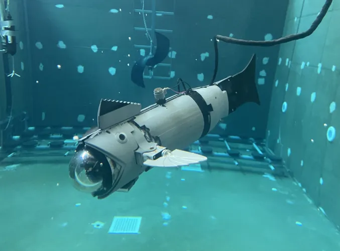 Peix robot a CIRTESU (1)