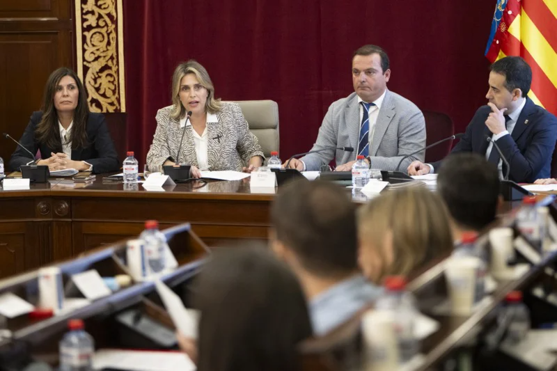 pleno ordinario febrero