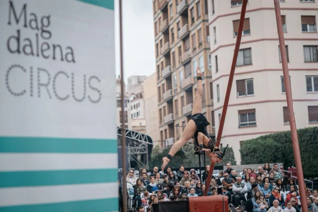 circus 3 en tamaño mediano