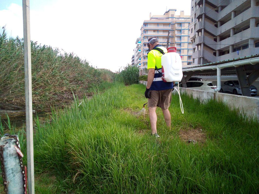 IMG-20200729-WA0038(1)