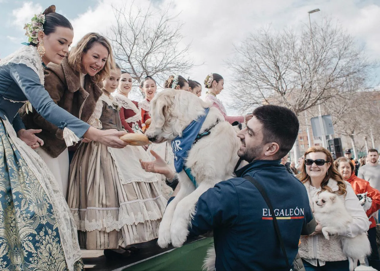 Sant Antoni Castelló