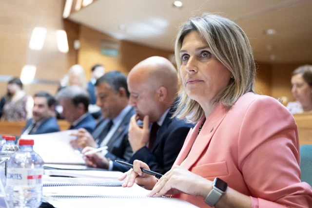 FEMP - Comisión Diputaciones, Cabildos, Consells Insulars (3) copia en tamaño mediano