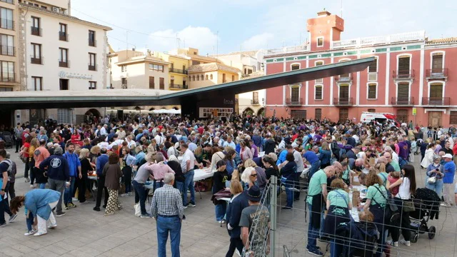 allioli vila en tamaño mediano