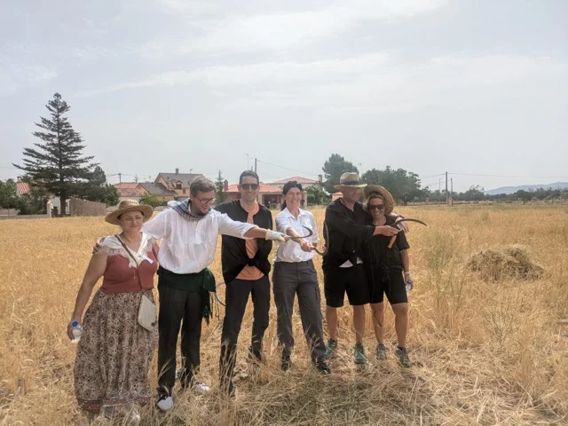 Fiesta de la siega y la trilla Villa de El Toro 2026 (3) en tamaño mediano