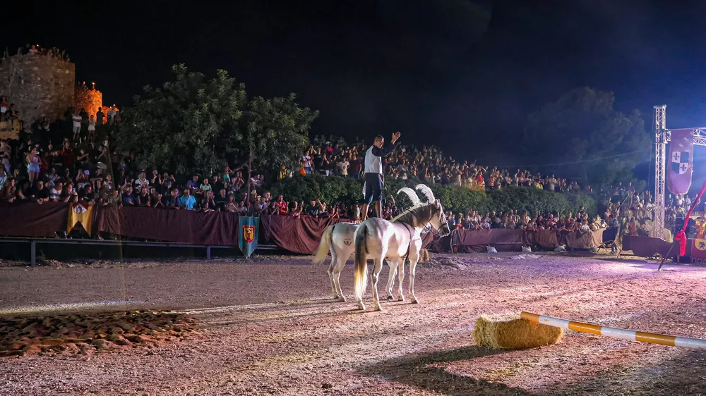 NDP - OndaMedieval2025 3