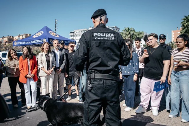 orientación 3 en tamaño mediano