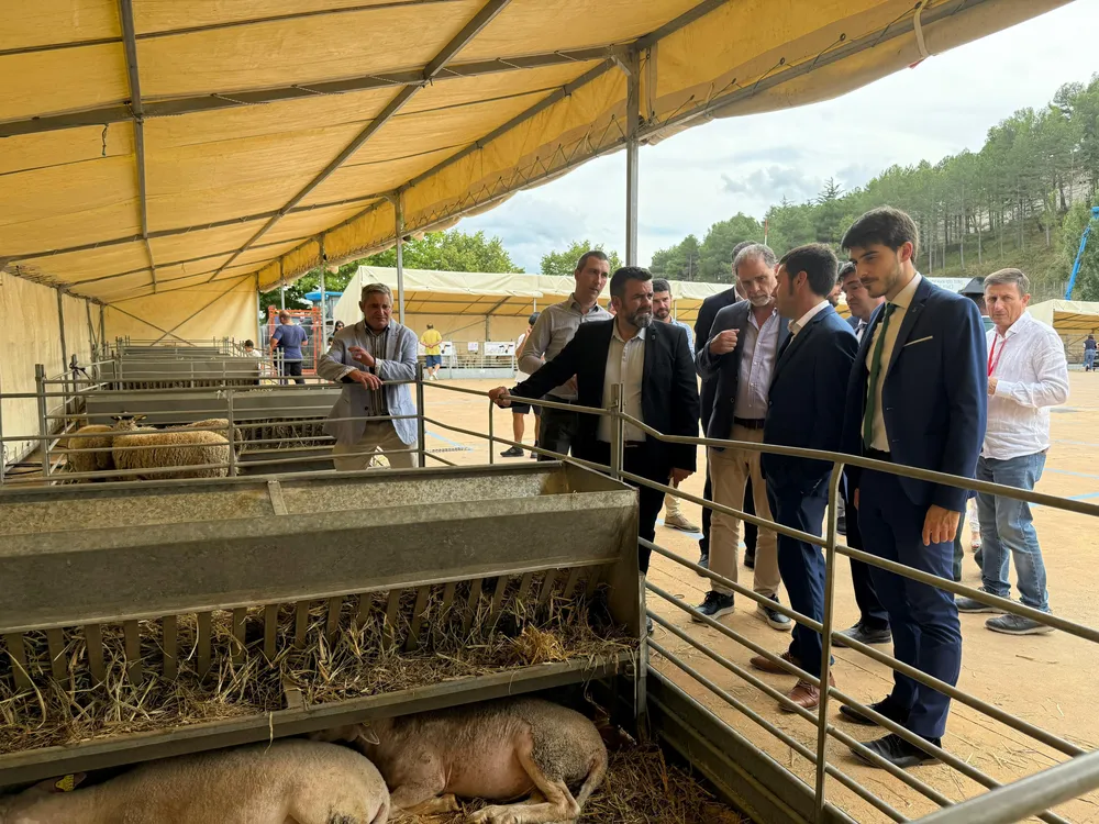 787a Fira de Morella