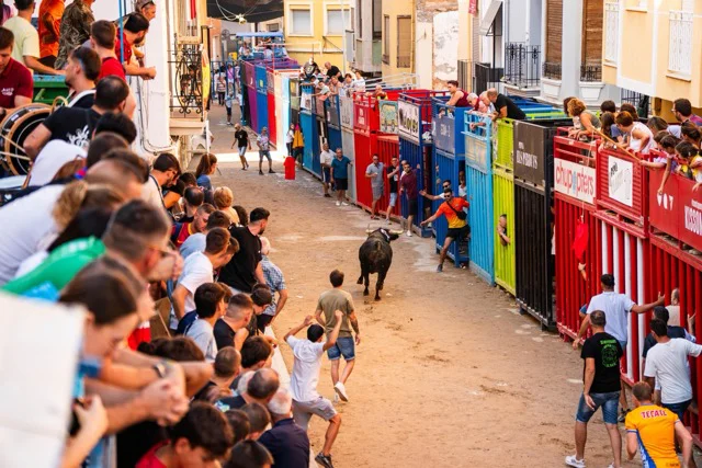 Bous Festes del Crist 2025 1 en tamaño mediano