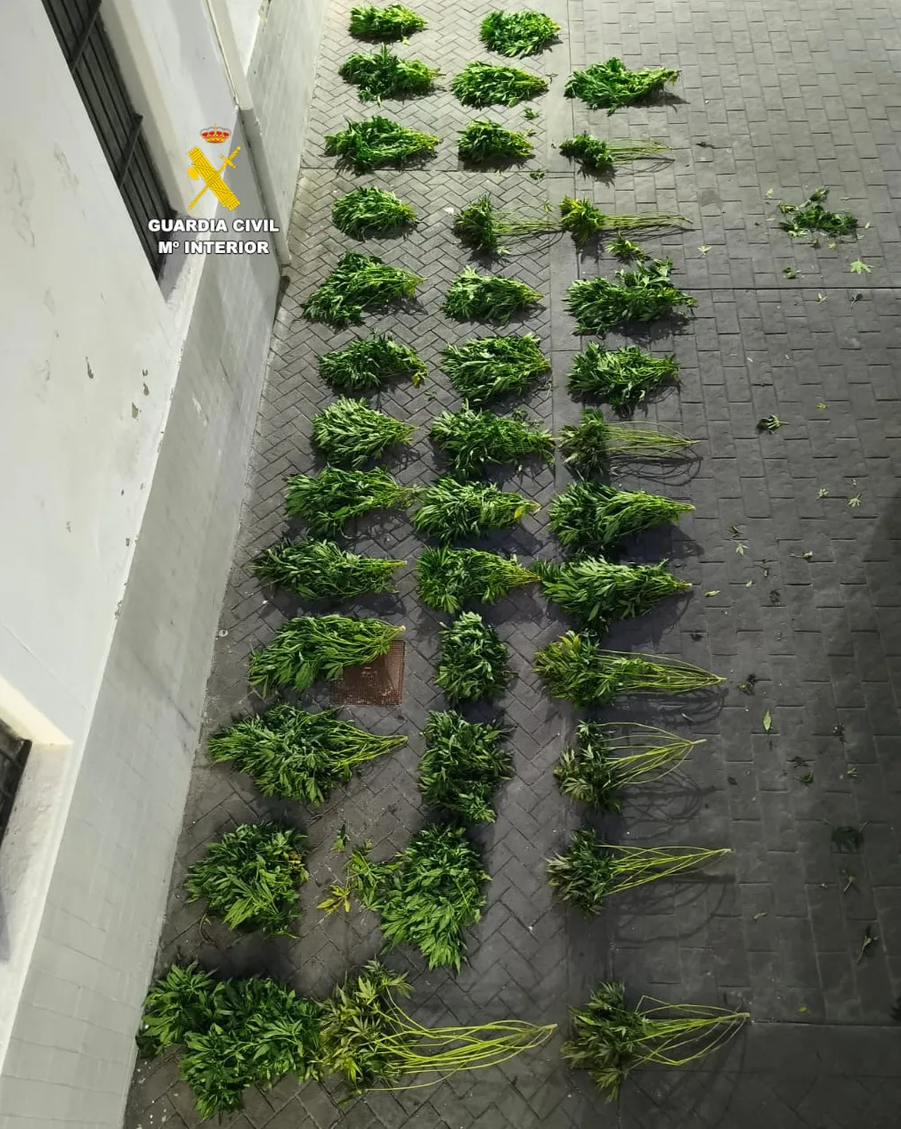 20251205 Almazora Operativo 2