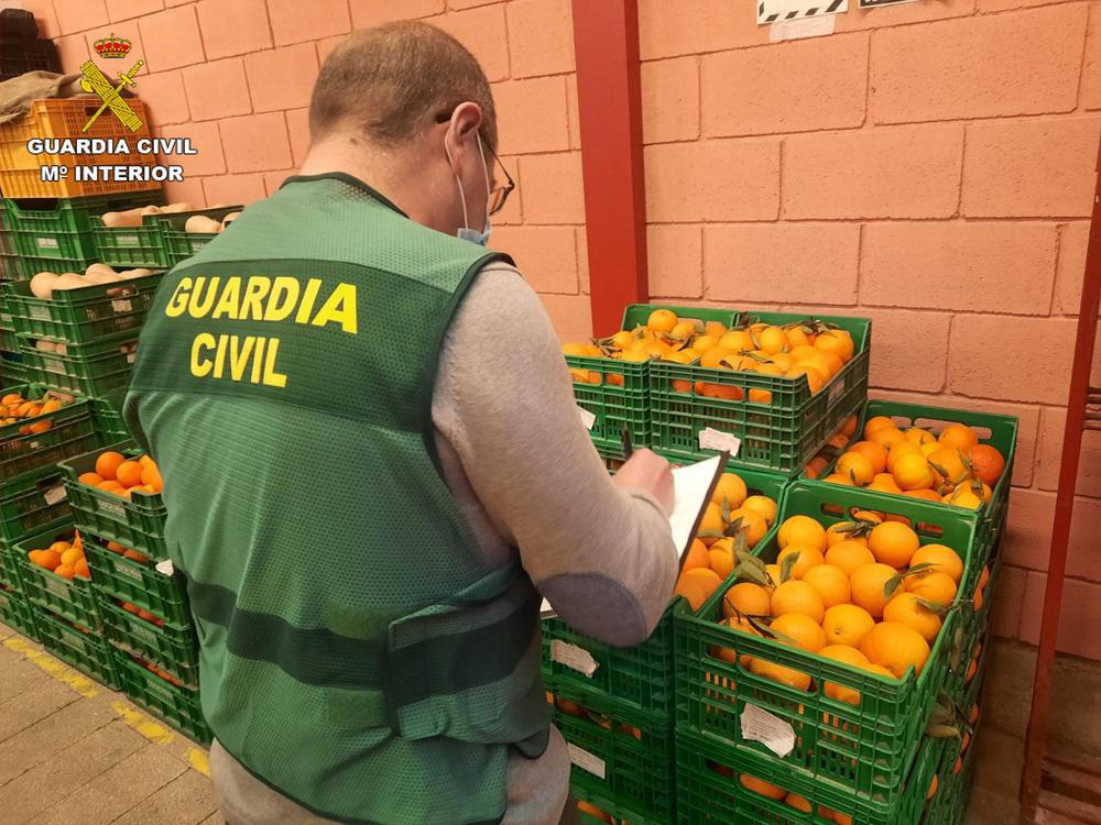2022-03-13_incautacion_naranjas_01