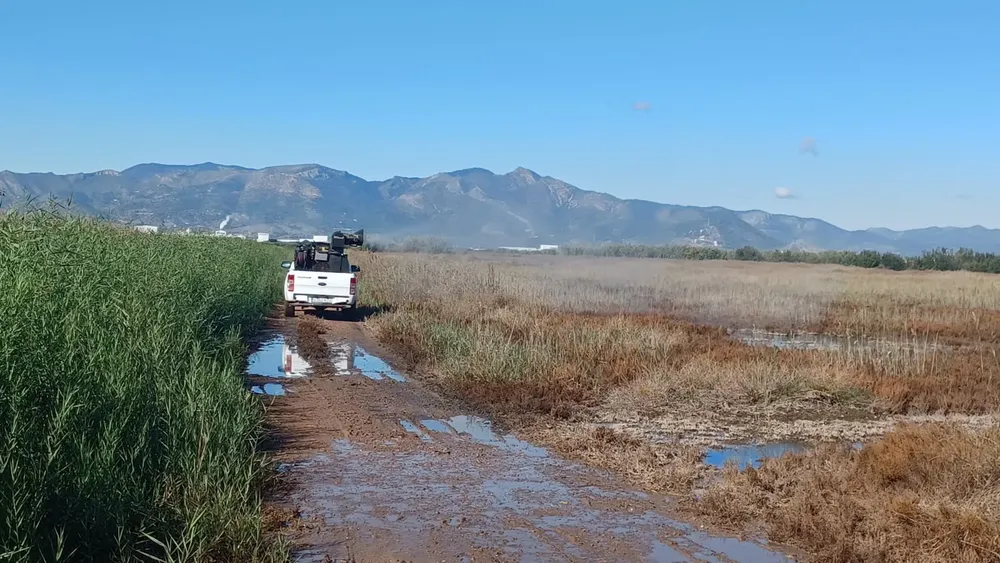 Tratamientos contra mosquitos (2) (1)