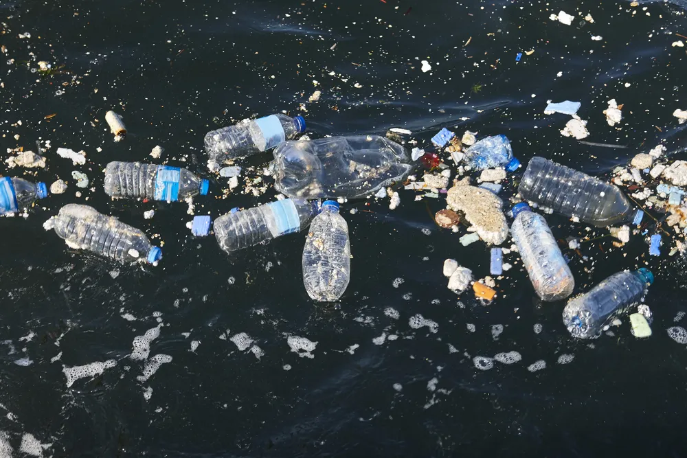 plastic-bottles-in-the-sea-waste-and-pollution-e-2025-01-27-22-03-55-utc (1)