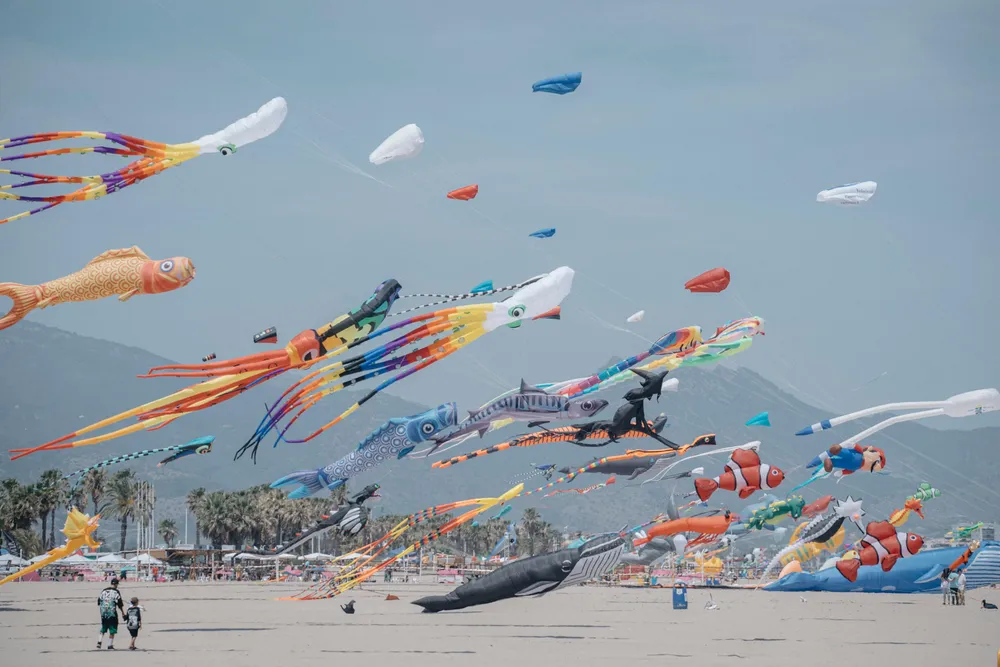 Festival del Viento 4