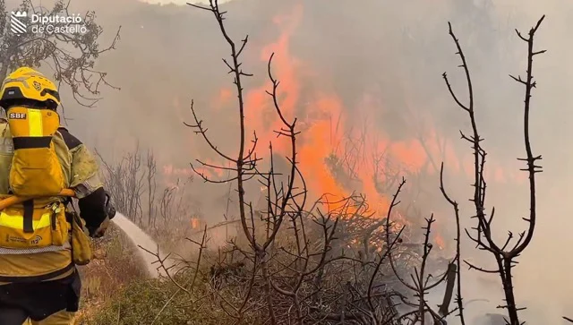 incendio soneja en tamaño mediano