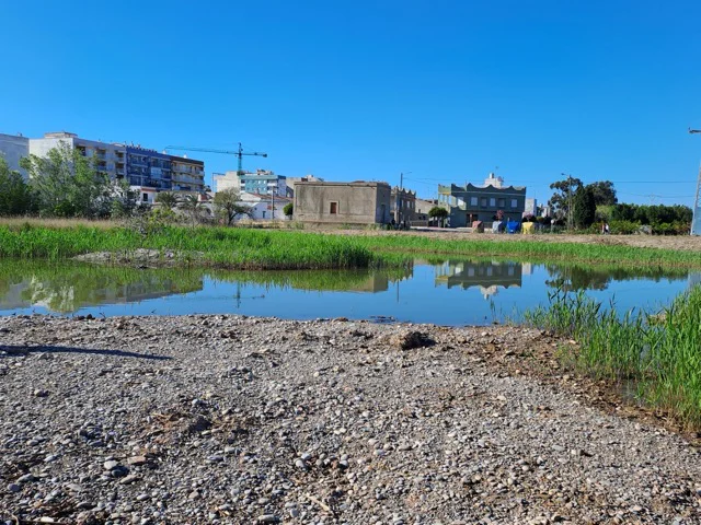 20260401_101041 (1) en tamaño mediano