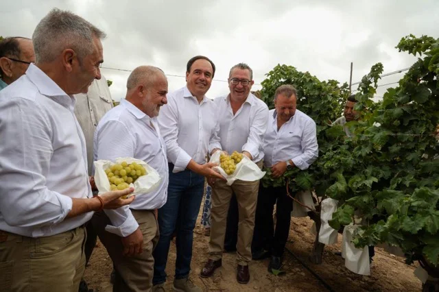 consell jovenes agricultores en tamaño mediano