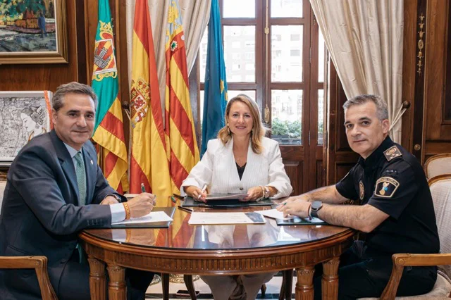 distinciones PLCS en tamaño mediano