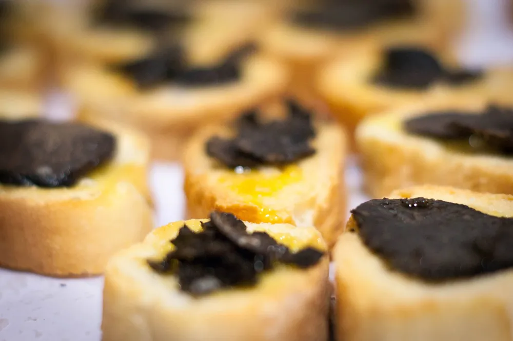 morella negra com la trufa argot-9