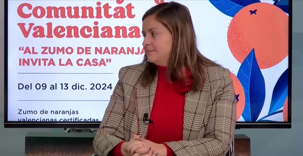 Captura de pantalla 2024-12-11 162250